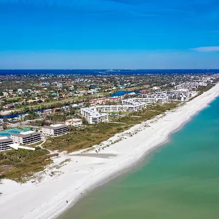 Sanddollar #A202